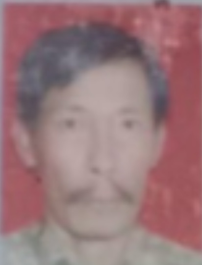 ALWI HASAN